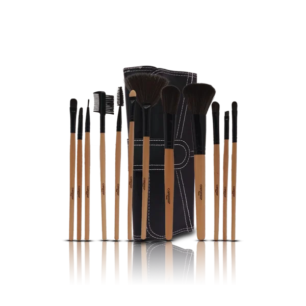 12 Piece Leather Brushset